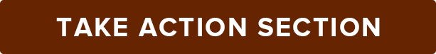 chapter3_takeAction