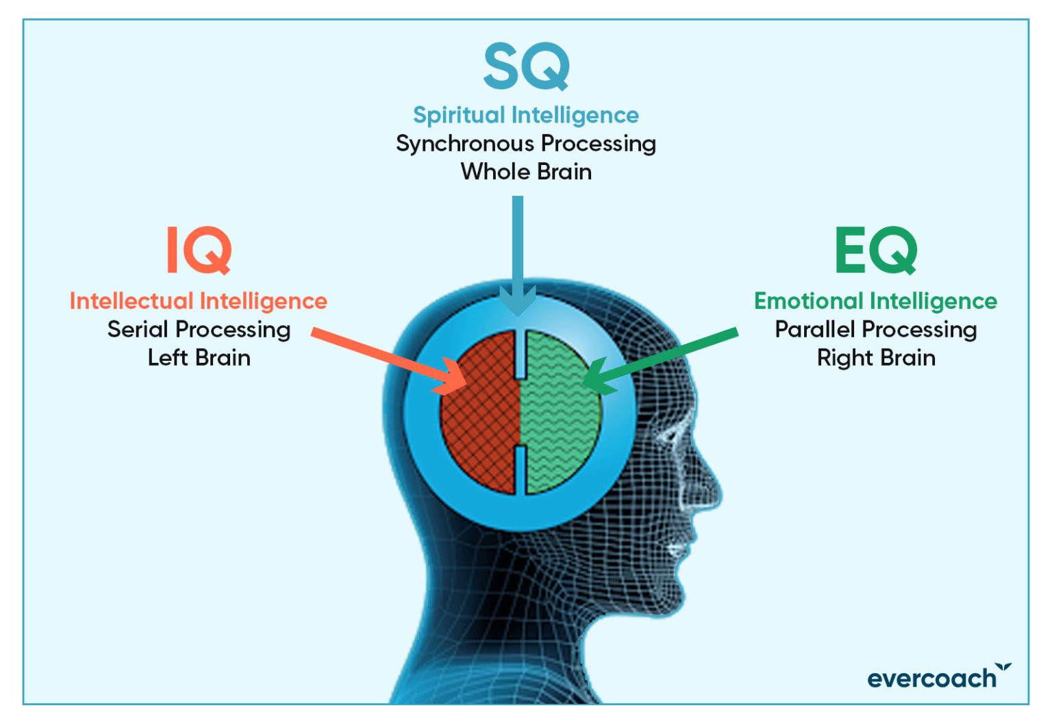 how-to-develop-spiritual-intelligence-evercoach-by-mindvalley